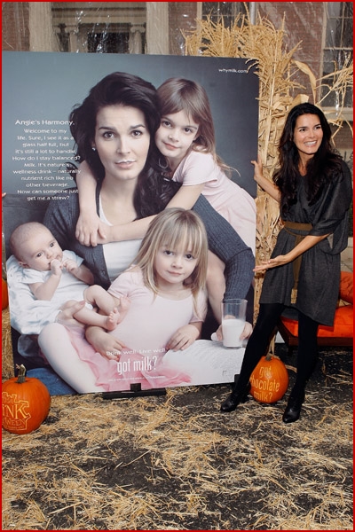 who is angie harmon married to. Angie Harmon and the loving