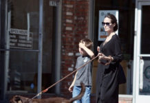 Stylish Mom, Angelina Jolie and Son, Knox, Take Their New Dog to Pet Store