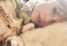 Extra Fur for Taylor Swift Fans